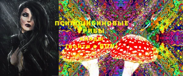 мдпв Вязники