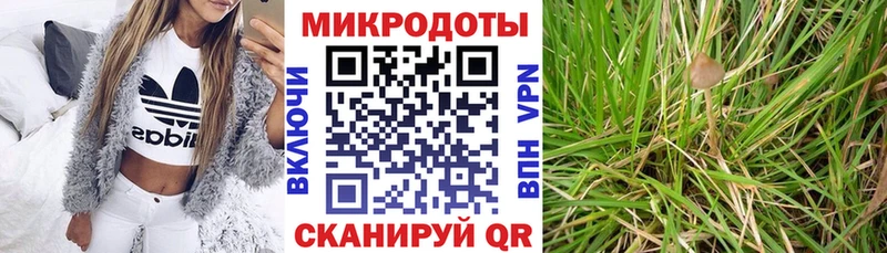 Псилоцибиновые грибы прущие грибы  Йошкар-Ола 